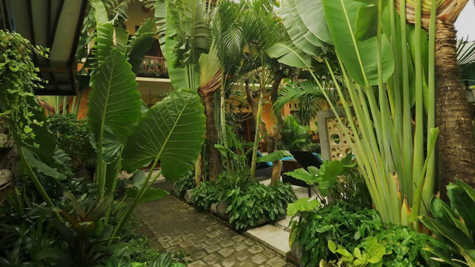 Mina Pelasa Hotel Legian Garden